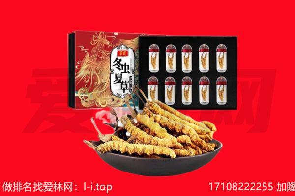 东明县回收虫草.jpg